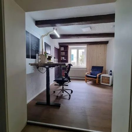 Charming 4 Appartement, Close To Basel