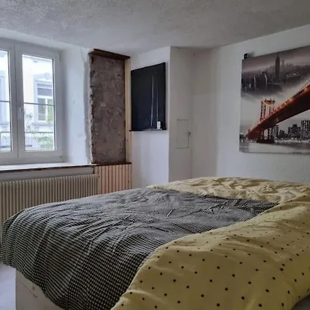 Daire Charming 4 Appartement, Close To Basel