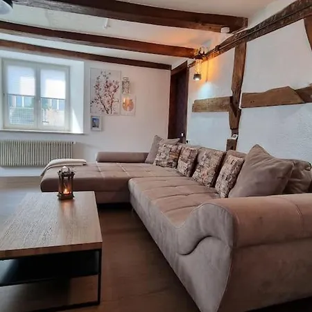 Charming 4 Appartement, Close To Basel * Grenzach-Wyhlen