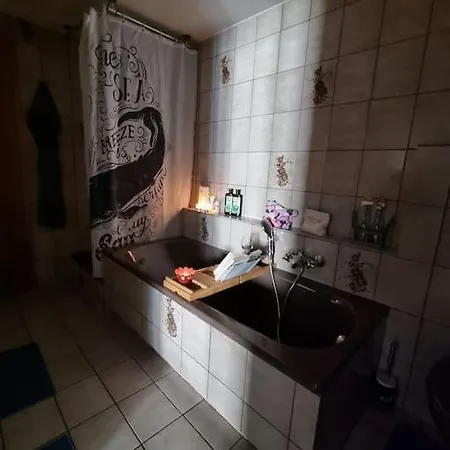 Charming 4 Appartement, Close To Basel Daire